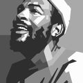 Ultimate Sounds Presents... The Marvin Gaye Tribute Mixx