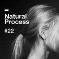 Natural Process #22