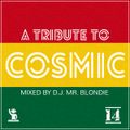 A Tribute to Cosmic Disco vol.14