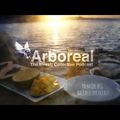 Arboreal Presents: Palm Oil #18 - Balearic Breakfast
