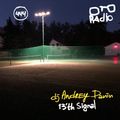 #444. dj Andrey Panin  13'th Signal (for OTO_Radio.ru)