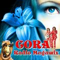 DJ Alf Cora Radio Megamix