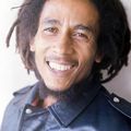 Bob Marley and the Wailers - More Dennis Thompson Mixes  Excellent