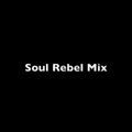 Soul Rebel Riddim Mix - 2009 - (Bob Marley Riddim)