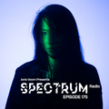 Joris Voorn Presents: Spectrum Radio 175