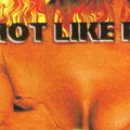 DJ Craig G, P-Nice & DJ Precise- Hot Like Fire Pt . II ( Tape Rip ) 1998