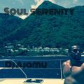 Soul Serenity