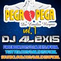 El Pega Pega ( CUMBIAS MIX Vol.1 ) - DJ Alexis