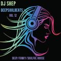 DeepSoulBeats #12 - Deep/Funky/Soulful House