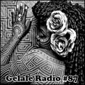 Gelale Radio #87. Passenger