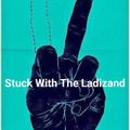 Special Request - Stuck with the girl Ladizand