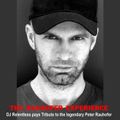 THE PETER RAUHOFER EXPERIENCE (DJ Relentless Pays Tribute To A Fallen Legend)