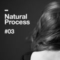 Natural Process #03
