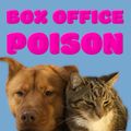 Box Office Poison - Give Thanks '20