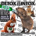 DETOX // INTOX #039: Eichhörnchen, Biber und Chaga Pilze (feat. Aaron / Haiattacke)