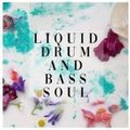 Liquid Drum And Bass Soul 29