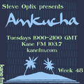 Steve Optix Presents Amkucha on Kane FM 103.7 - Week Forty Eight