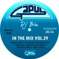Dj Bin - In The Mix Vol.29