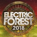 CharlesTheFirst 6/24/18 Tripolee, Electric Forest Week 1 2018
