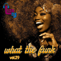 what the funk vol.29