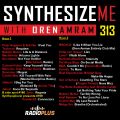 Synthesize Me #313 - 170219 - hour 1