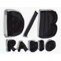 D/B Radio 196