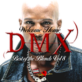 BEST OF THE BLENDS VOL 8 - WELCOME HOME DMX