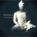 Midnight Silhouettes 2-5-23