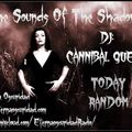 The sounds of The Shadows By Dj Cannibal Queen (MinimalSynth - SynthPunk)