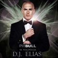 DJ Elias - Pitbull Mr. Worldwide Mix
