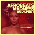 Afrobeats Madness Budapest - Mini Valentine MIX