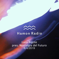 #107 Luca Bigote pres. Nostalgia Del Futuro w/ Hamon Radio from Berlin ,GER