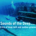 2 hrs of Deep Tech and Mellow Grooves