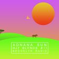 HJ7 Blends #11 (Adnana Sun)