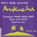 Steve Optix Presents Amkucha on Kane FM 103.7 - Week Sixteen