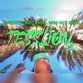 Ragga Dancehal Mini Mix - TESSLION aka Lion Tessla