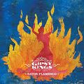 Gipsy Kings - Savor Flamenco (MixTape)