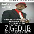 ZIGEDUB Back 2 Basics on Uniquevibez & Vibes FM Gambia 23rd April 16 (Interview With Andrew Sloley)