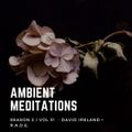 Ambient Meditations Season 2 - Vol 31 - David Ireland + R.A.D.E.