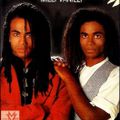 THE REAL MILLI VANILLI EXITOS REMIX BY WILZACO 2020