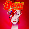 Mashole Vol.15- Bowie Edition