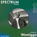 Spectrum Radio #048 ft Wantigga