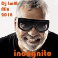 Incognito feat. Bluey-Dj LmM Mix 2018