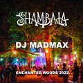 Shambala Enchanted Forest Mix 2022