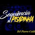 DJ Pierre Caldeira - Pisadinha Mix