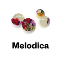 Melodica 24 August 2015
