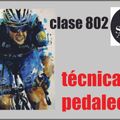 clase 802