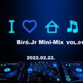 Bíró.Jr. Mini-Mix VOL.01