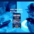 The Blue Bus Pgm #406