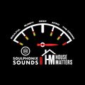 Soulphonix Sounds Meets House Matters Promo Mixed Wez Whynt